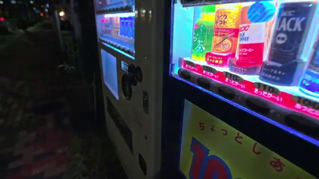  40대취업자격증 , 반려견운동지도사 대학진학, 경력없이 인강만 듣고 독학으로 최단기간 준비했던 과정