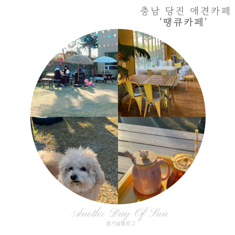 사진 3