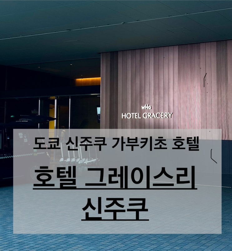 도쿄 신주쿠 고질라 가부키초 가부키쵸 혼자 여행 신주쿠역 호텔 숙소 추천 호텔 그레이스리 신주쿠