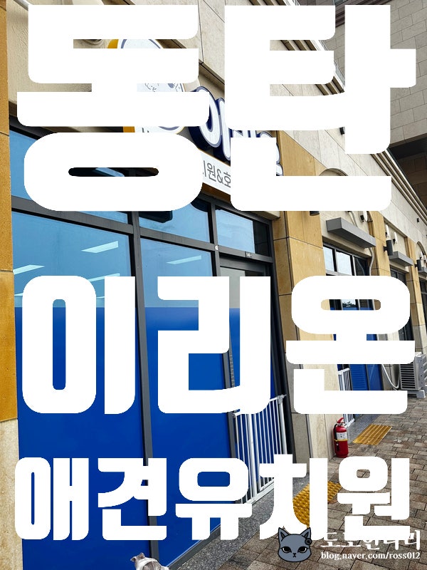 사진 7