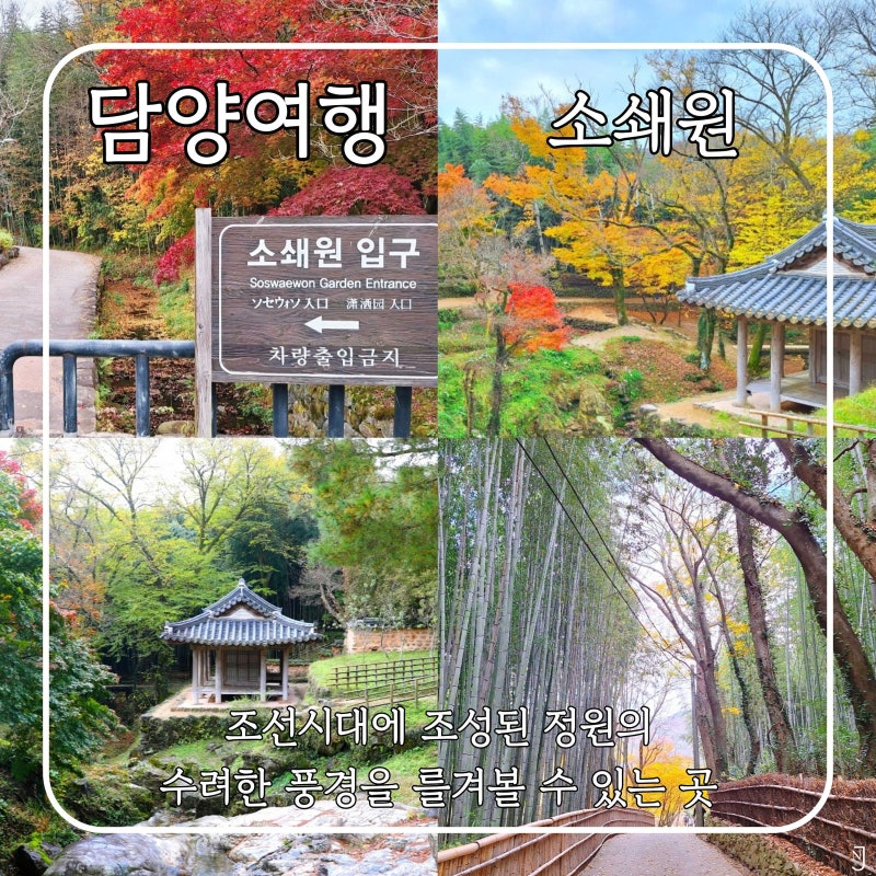 사진 5