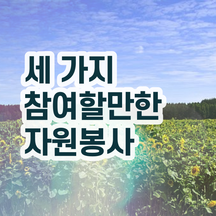  , 자원봉사지도사 자격증 학습한 후기 핵심 공개