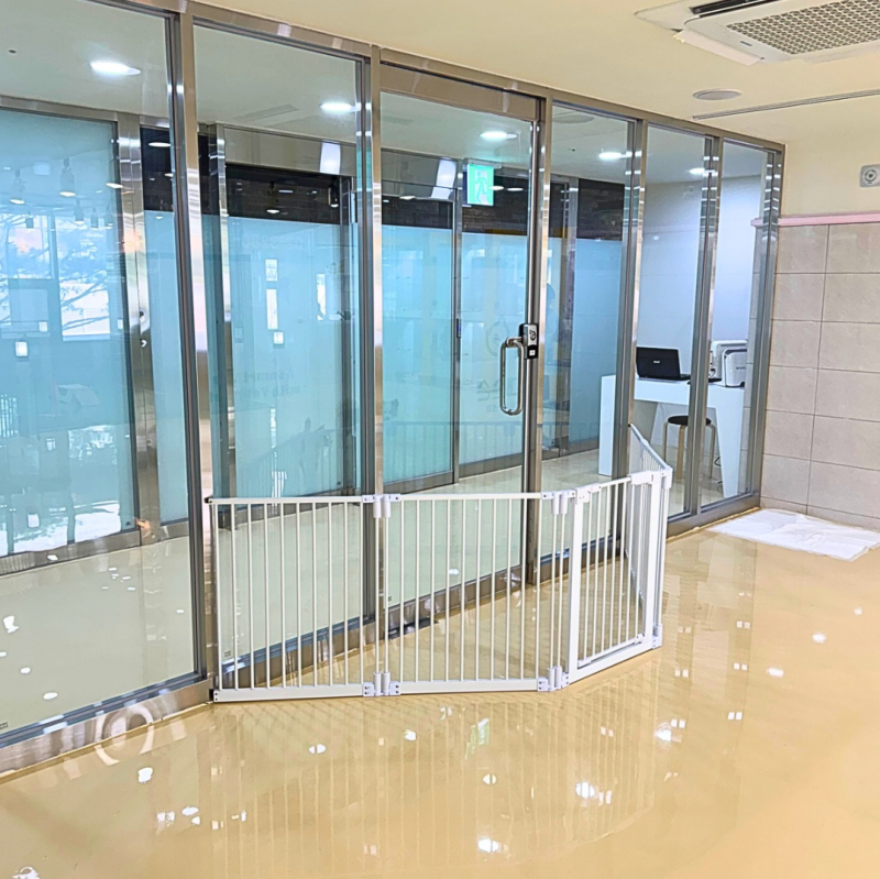 사진 10