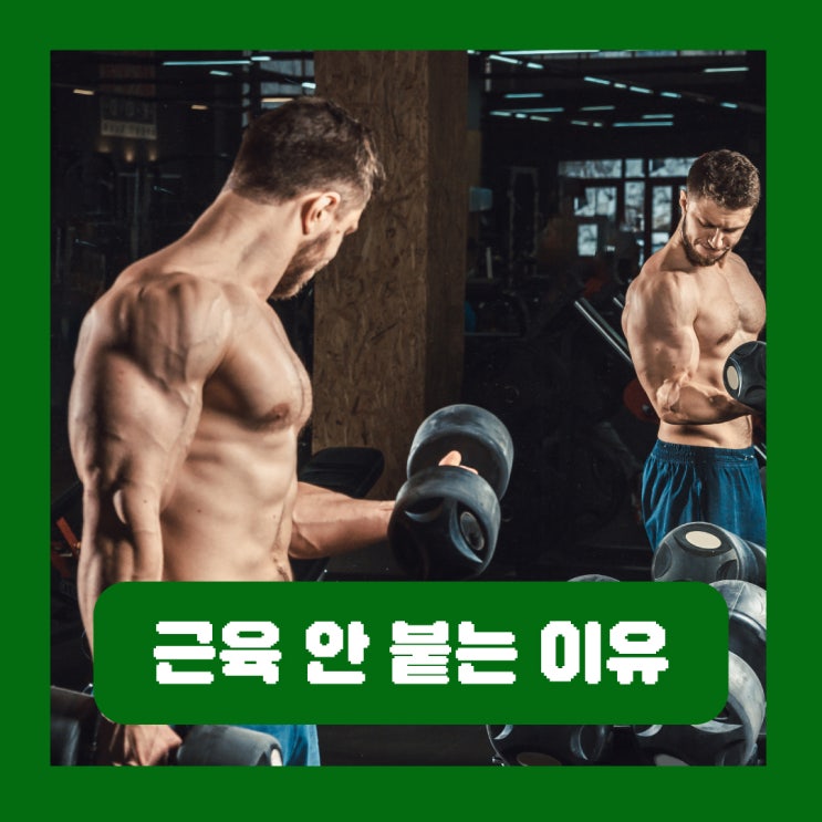  운동해도 근육 안 붙는 이유 부족한 부분 3가지 체크하기