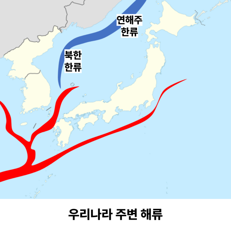 중2 과학 교과서 완벽하게 분석하기 ④ 해류(쿠로시오해류, 동한난류, 북한한류, 조경수역) : 네이버 블로그