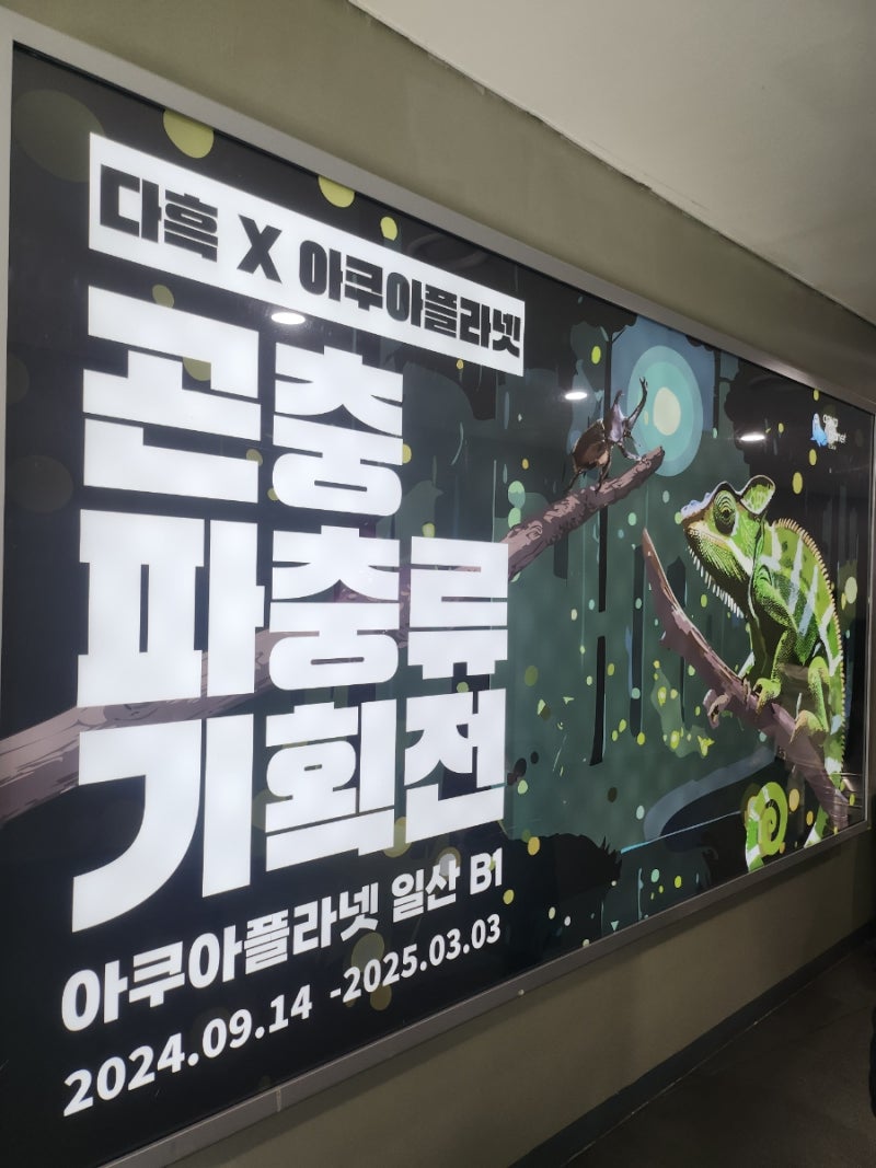 다흑X아쿠아플라넷 일산점 곤충 파충류 기획전 방문후기(곤충체험 추천)