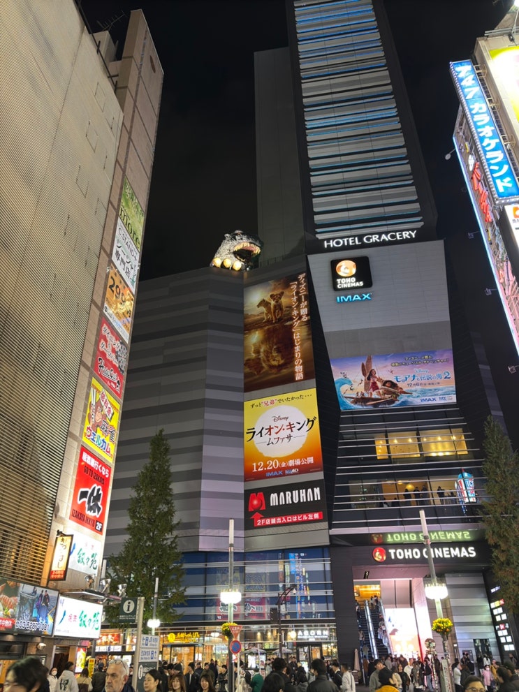  일본생활#133 산겐자야 라멘 렌 / 요코하마 데이트 / 가부키쵸에서 사촌동생 만나기