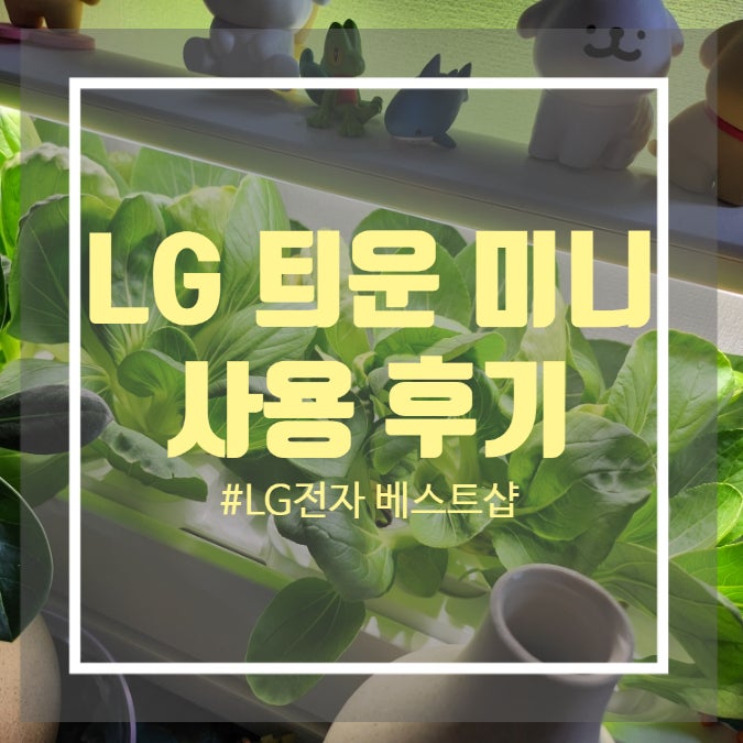 LG 틔운 미니 후기 청경채 키우기 - LG전자 베스트샵 서포터즈 모집 LG 틔운 미니 후기 청경채 키우기 - LG전자 베스트샵 서포터즈 모집