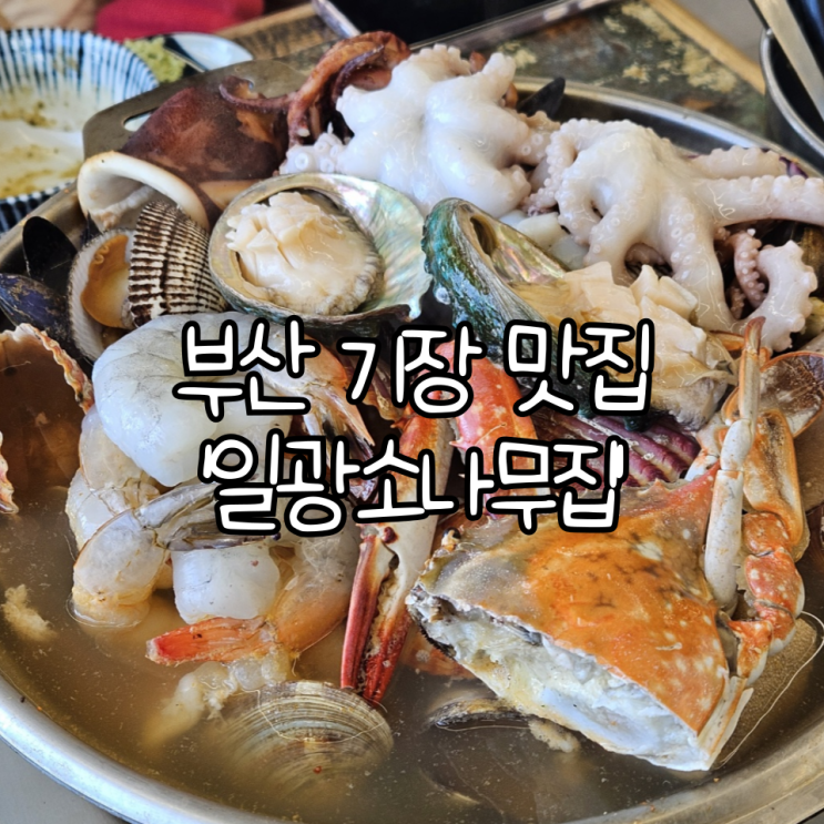  부산 기장 맛집 '일광소나무집' | 뜨끈한 해물 뚝배기와 전복죽이 맛있던 오션뷰 맛집