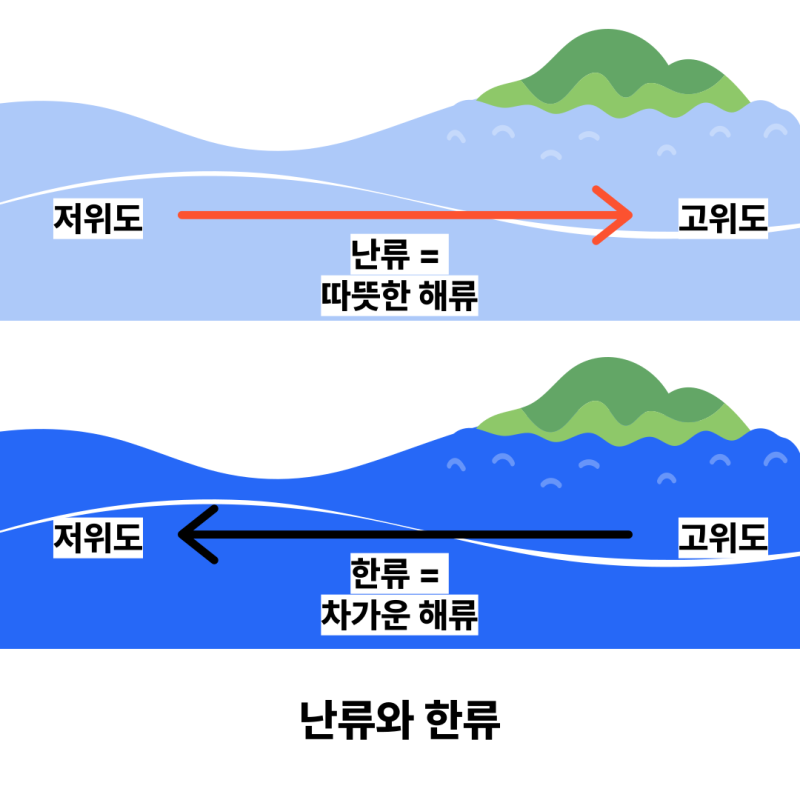 중2 과학 교과서 완벽하게 분석하기 ④ 해류(쿠로시오해류, 동한난류, 북한한류, 조경수역) : 네이버 블로그