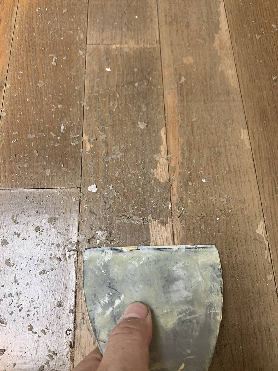 광진구 거실강마루 물먹어 변색된곳 시트지작업