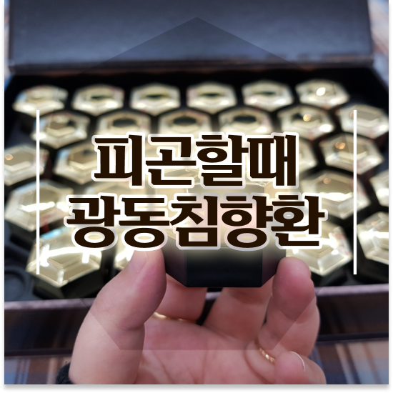  침향환 성분 면역력 명품침향 구성
