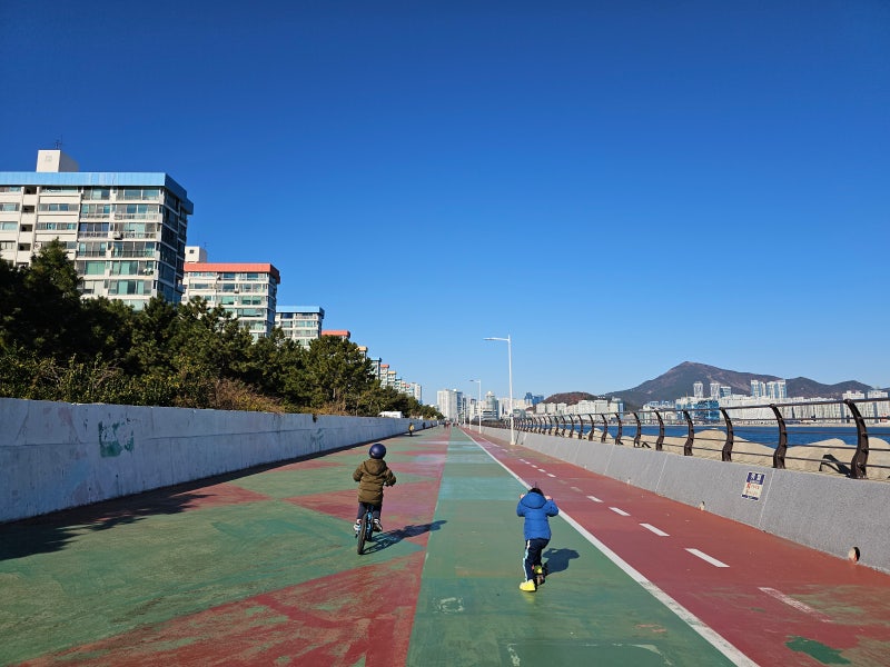 사진 5