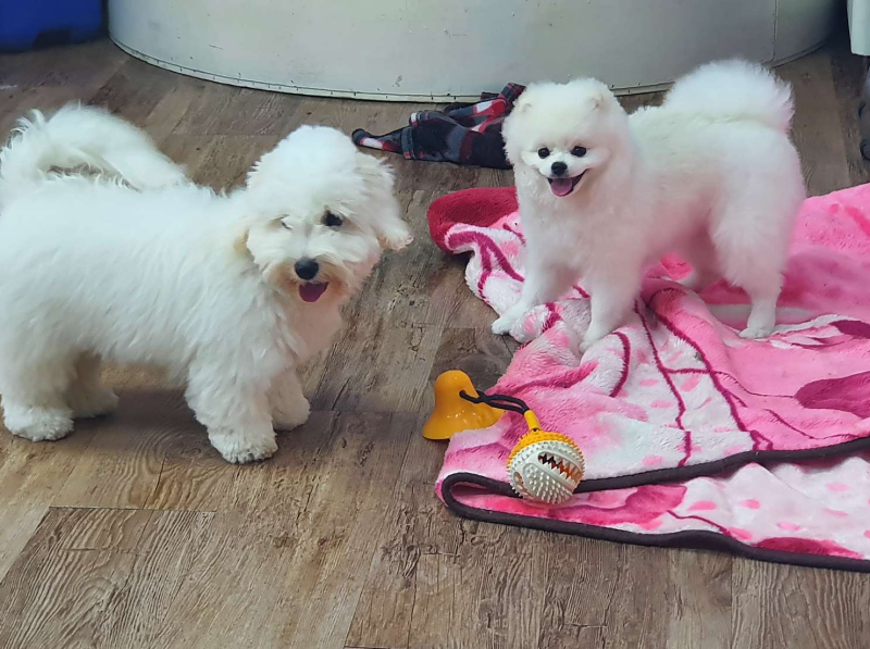 사진 2
