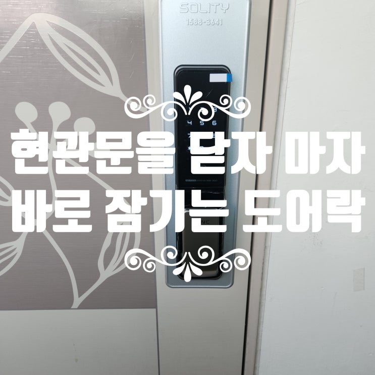  현관문 닫는 즉시 바로 잠김 도어락 번호키 설치 고양 삼송동열쇠