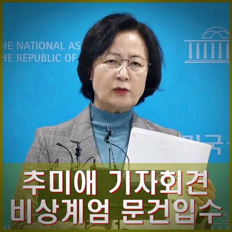 추미애 비상<b>계엄</b> 문건 입수 <b>여인형</b> 지시로 <b>방첩사</b> 작성 주장 올... 