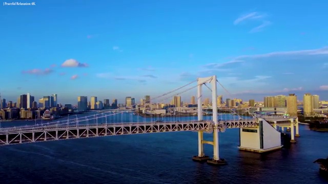  독학사 경영학 , 학점은행제 경영학 학위 학은제로 성공한 꿀팁 모음