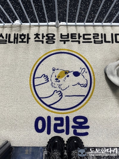 사진 9