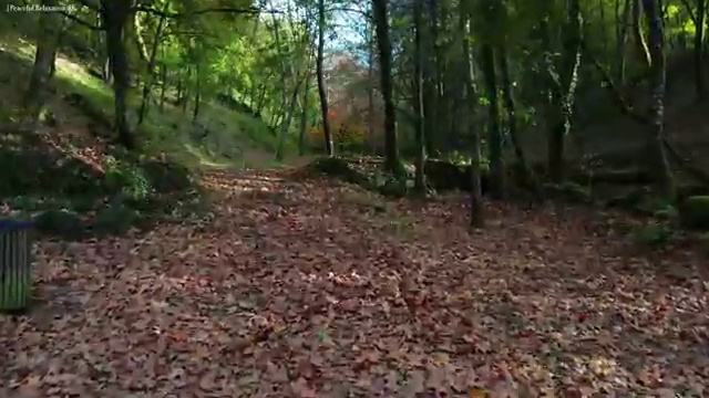  사회복지자격증과목 , 사회복지사2급 직장인도 학점은행제로 쉽고 빠르게