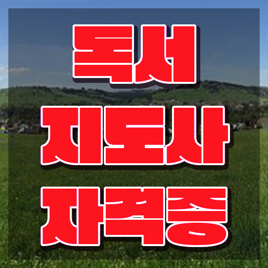  아동영어독서지도사 , 독서지도사 자격증 합격한 팁 짚어드려요