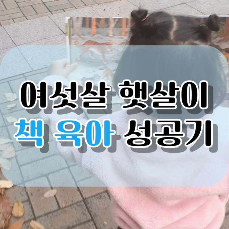  6살 성공적인 책 육아! 햇살이는 지금!