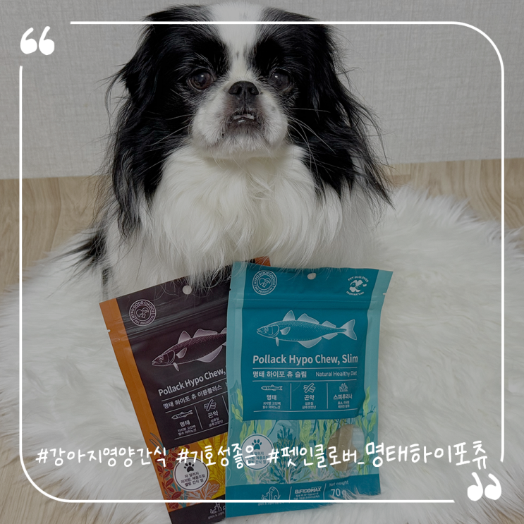  강아지영양간식추천 기호성좋은 펫인클로버 명태하이포츄