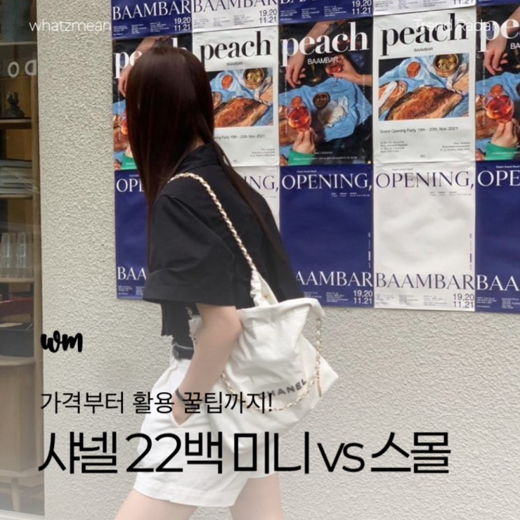  샤넬 22백 미니 vs 스몰: 가격부터 활용 꿀팁 비교