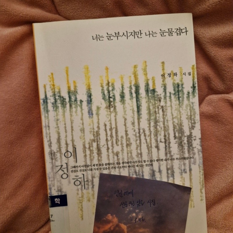 [시집] 너는 눈부시지만 나는 눈물겹다 - 이정하 시인 ; 담담해서 더 애절한 마음, 묵묵해서 ....