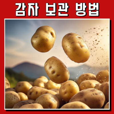 감자 냉장고에 넣지 마세요.