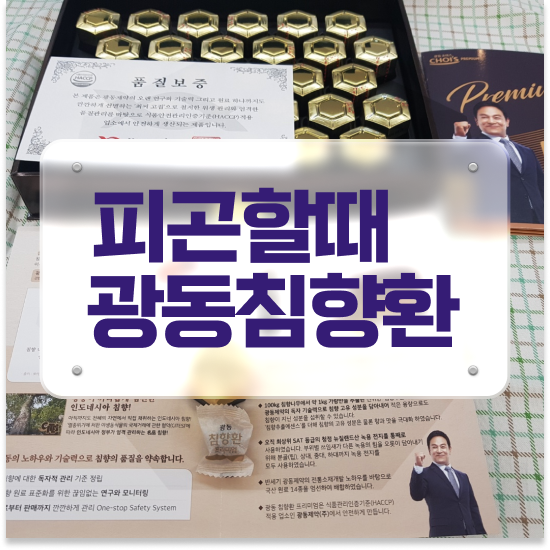  거래처선물 몸이무거워요 기력찾기 침향단 꼭 체크하세요