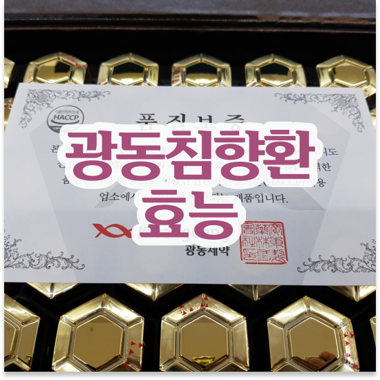  광동 침향환 프리미엄침향환 효능 기운내기 솔직 후기