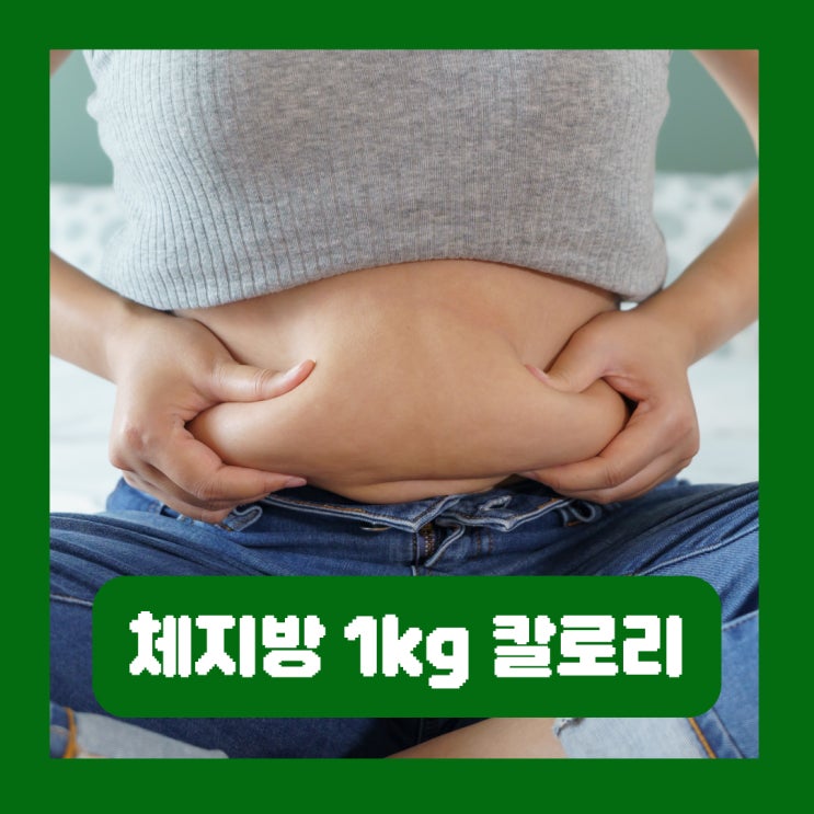  체지방 1kg 칼로리 다이어트 식단 없이 운동만으로 힘든 이유