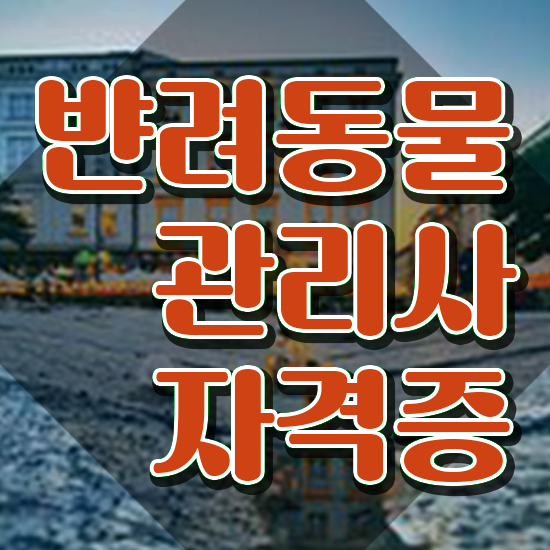  반려동물목욕관리사 , 반려동물관리사 자격증 20일 만에 합격한 팁 , 취업