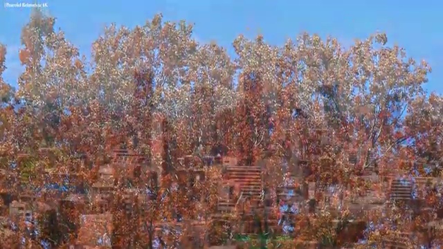  강북구 번3동 SK 매직 최우수 직영 특판몰 사용 리뷰 놀라운 혜택을 확인해보세요!