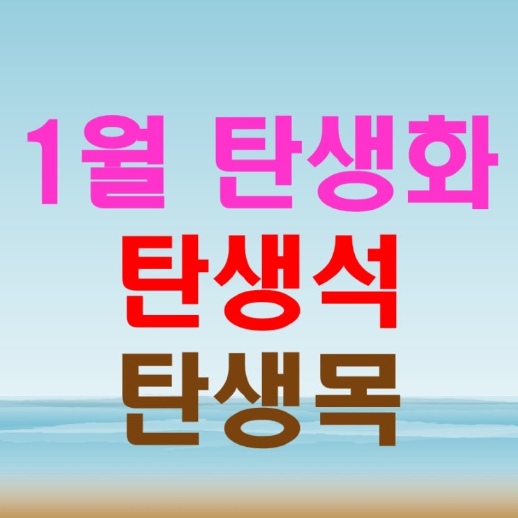  1월탄생화 와 1월탄생석 feat. 탄생목