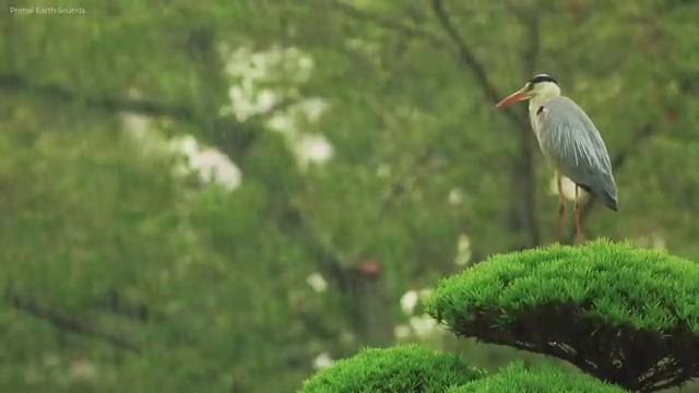  청담 웨딩스튜디오 , 웨딩홀 찾아보기 , 웨딩박람회에서 결혼준비 한번에 시작하는 노하우