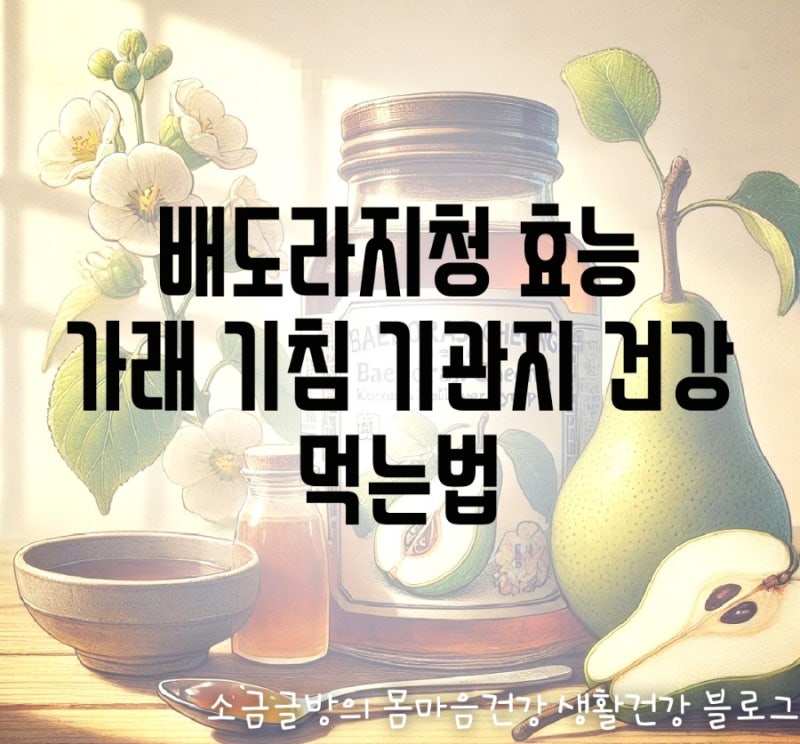 배도라지청 효능 부작용 기침 가래 기관지 먹는법