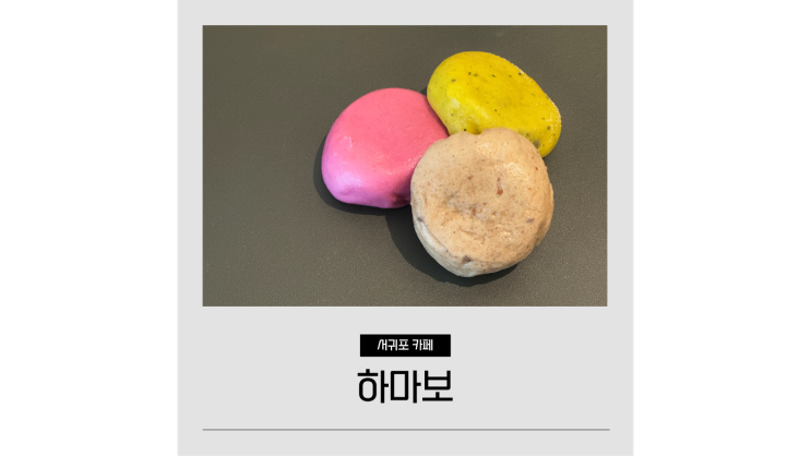  제주 쑥찐빵 맛집 하마보 성산일출봉 근처 카페