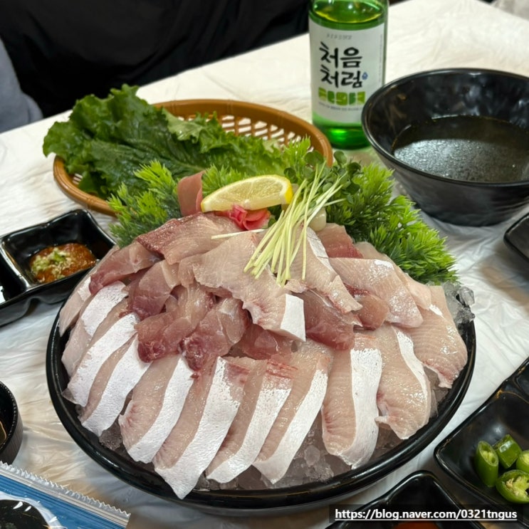  [노량진맛집] 가성비 좋은 서울 대방어 맛집 내돈내산- '노량해전 노량진횟집'