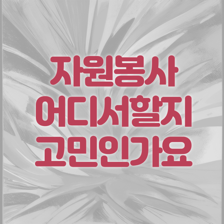  , 자원봉사지도사 자격증 15일 만에 합격한 전략 및 구직정보