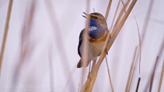  병원코디네이터 자격증 유효기간 , 병원코디네이터 자격증 취득한 과정 요점정리