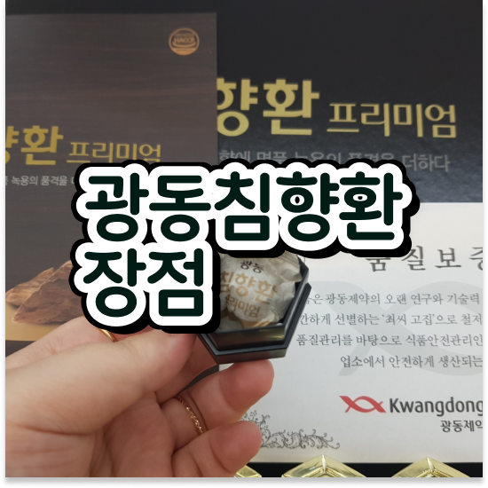  침향환 성분 원기회복 침향환 프리미엄 최저가 좌표