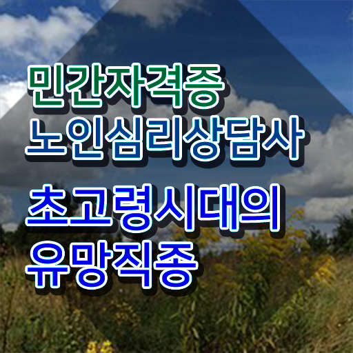  노인심리상담사 자격증 시험 , 노인심리상담사 자격증 2주 만에 취득한 과정 , 온라인 무료강의