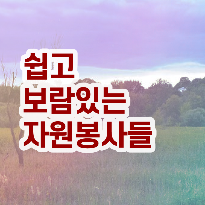  , 자원봉사지도사 자격증 취득한 노하우 정리