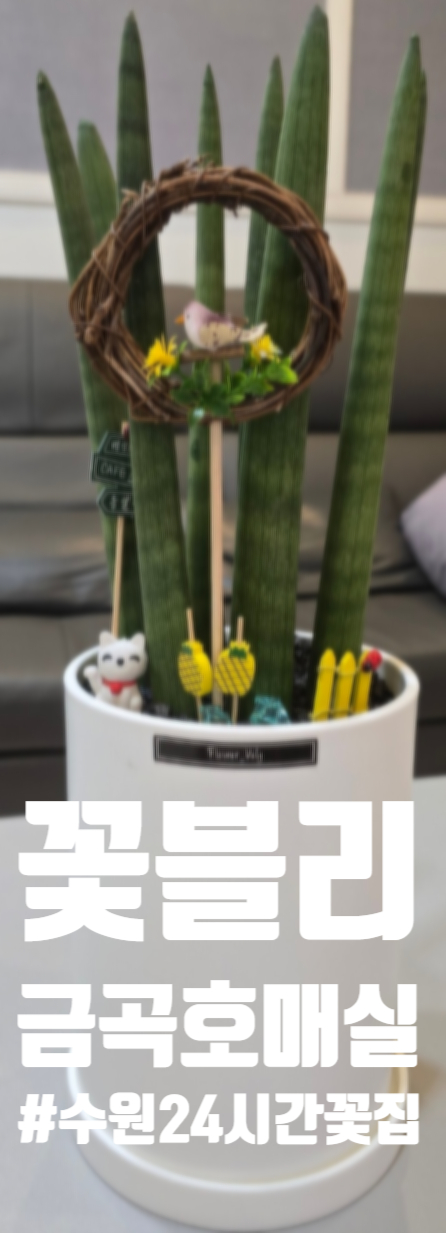  수원 24시간 호매실 꽃집 꽃블리 금곡호매실점