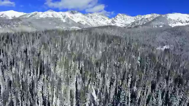  부동산자산관리전문가 , 부동산자산관리전문가 부동산자산관리사 응시자격 없이 합격 비법 요점정리