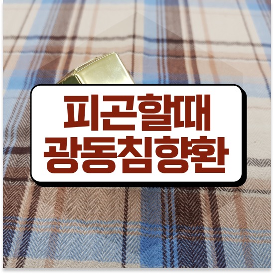  침향환 성분 건강하게 침향환 주의사항