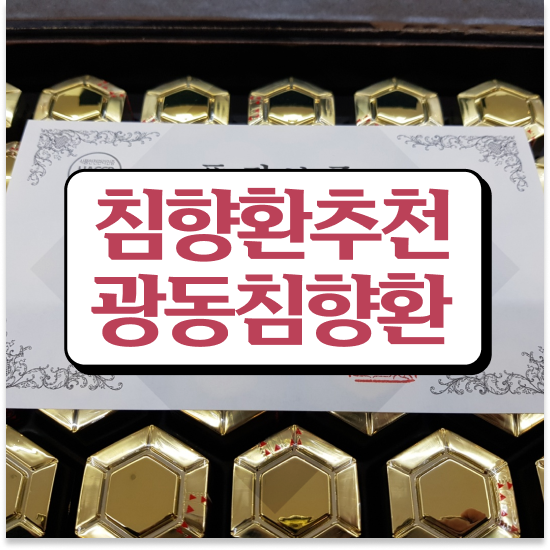  침향환 성분 집중력 침향환 프리미엄 A to Z
