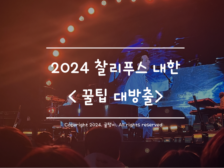 2024 <b>찰리푸스</b> 내한 콘서트 첫공연 후기 및 스탠딩석 시야... 