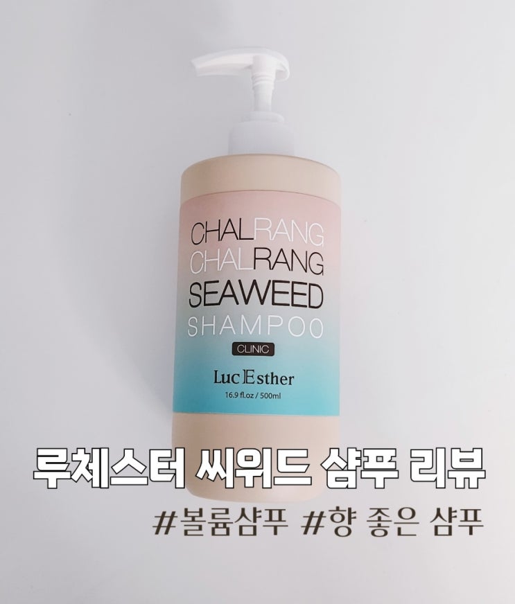 향기좋은 두피케어 샴푸 추천 루체스터 찰랑찰랑씨위드 샴푸
